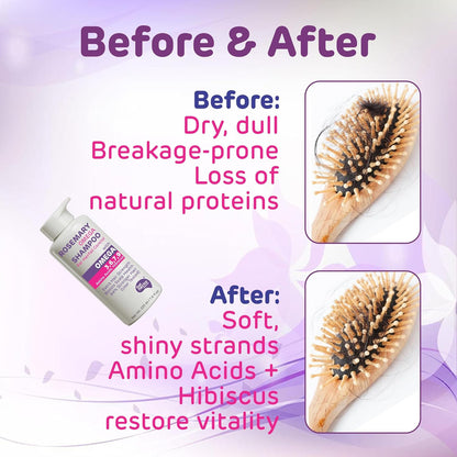 Korean Hair Essence Rosemary Shampoo for Hair Fall Control | Enriched with Hibiscus, Omega 3,6,7,9 & Amino Acids | Strengthens Roots, Boosts Scalp Health & Reduces Breakage | Sulphate & Paraben Free Gentle Cleanser | 225ml